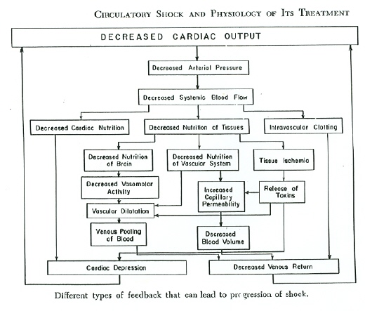 First Aid Procedure Flow Chart